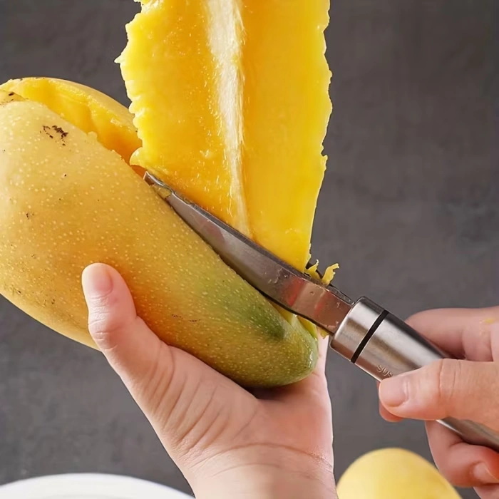Stainless Steel Mango Slicer and Seed Separator with Anti-Slip Handle – description image 1