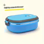 Stainless Steel Bento Lunch Box for Packed Meals & Food Storage with Insulated Design – gallery image 5