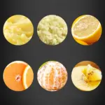 Stainless Steel Potato Ricer for Mashing & Pressing with Non-Slip Handle – gallery image 10