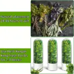 Herb Storage Box for Refrigerated Produce Storage & Organization, Large Container – gallery image 6
